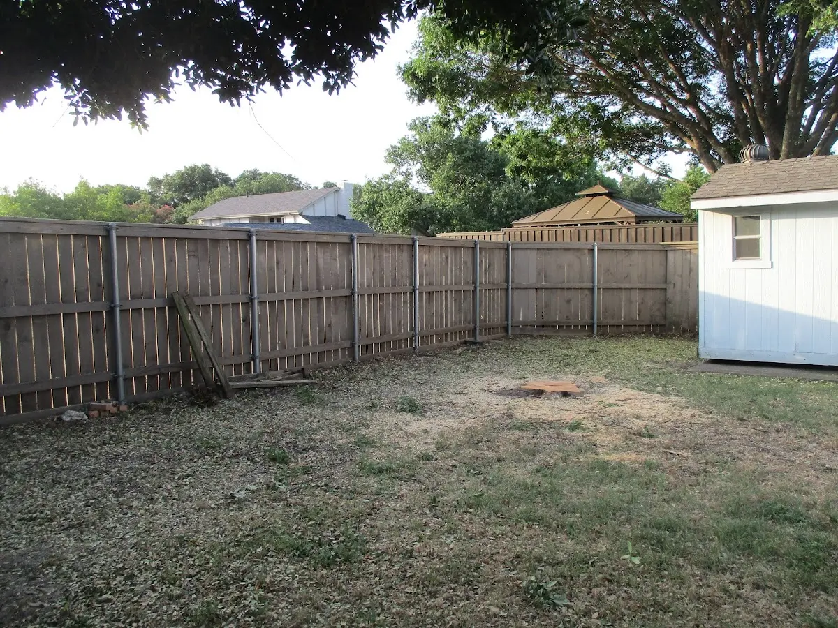 Cleared yard after professional tree removal in Pretty Prairie