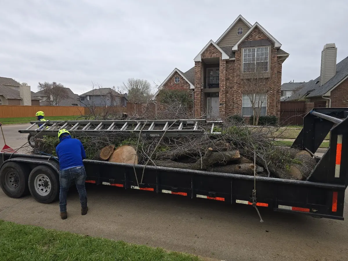 Expert Crown Reduction with proper safety equipment in Pretty Prairie